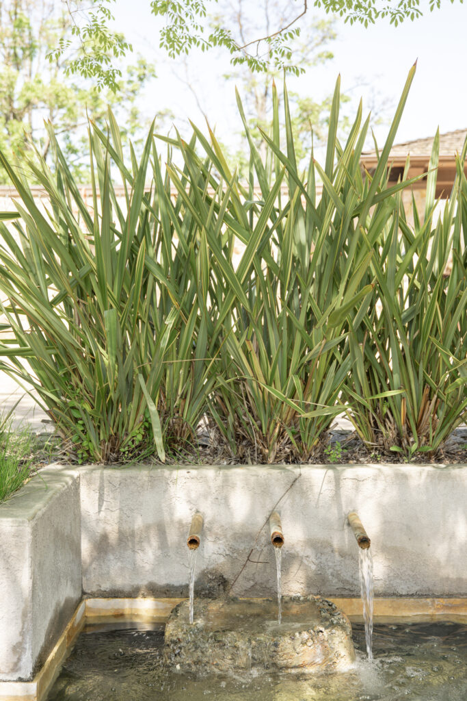 Water feature and landscaping details at Estate Yountville wedding venue in Napa Valley