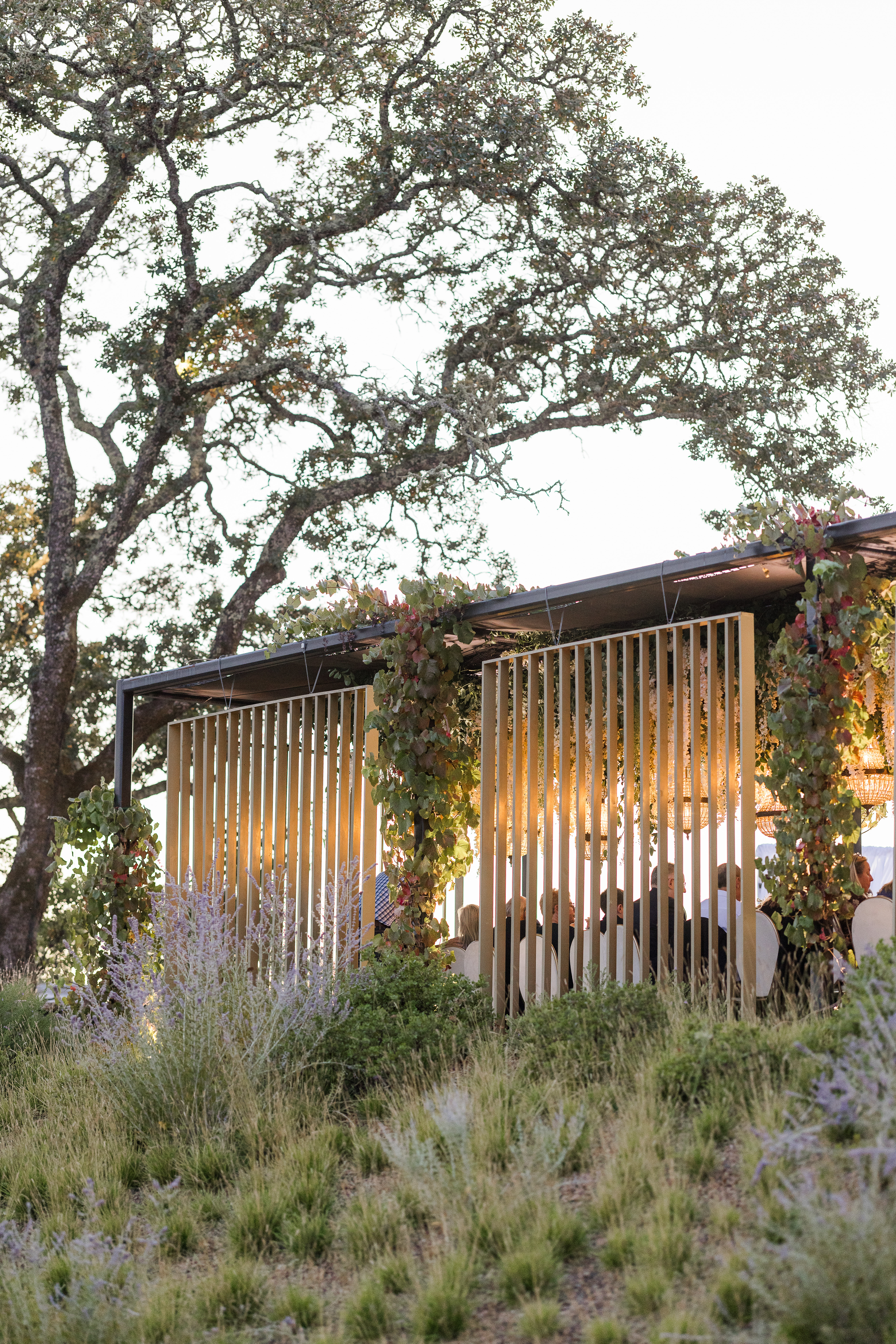 Open-air reception pavilion at Montage Healdsburg surrounded by oak trees at sunset