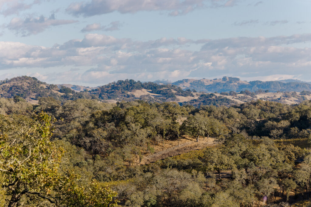 Rolling hills and oak trees surrounding Montage Healdsburg in Sonoma wine country