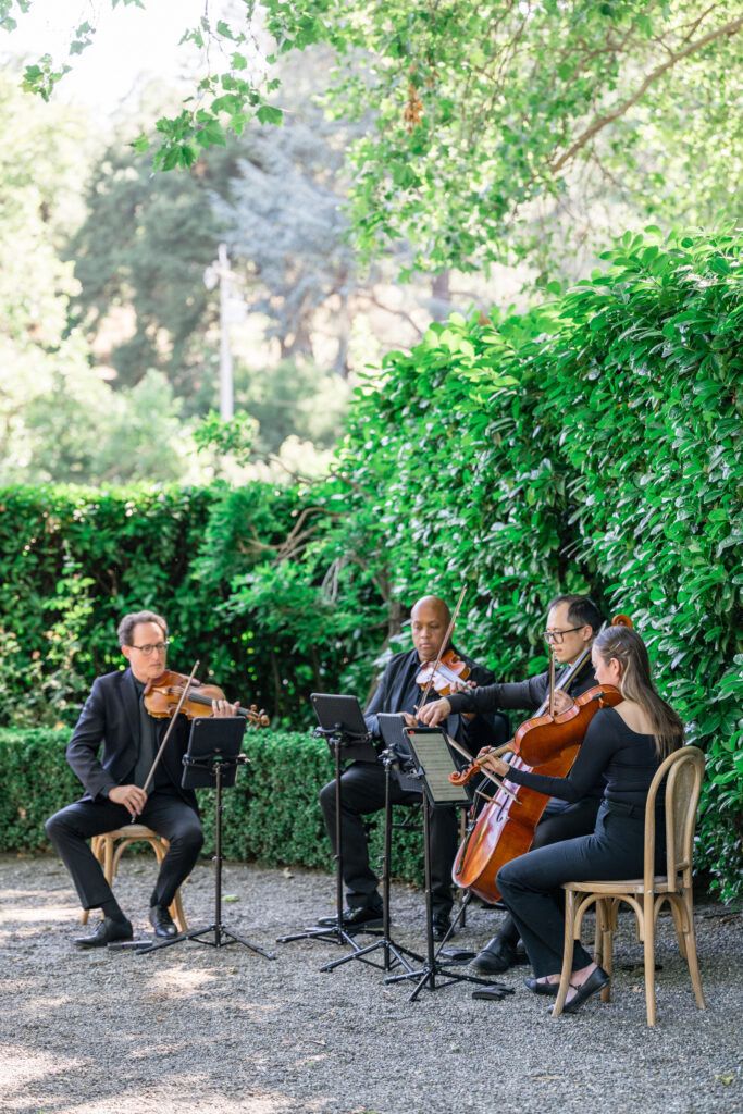 A string quartet from Wine Country Entertainment performs during cocktail hour against a lush green hedge wall at Beaulieu Gardens in Rutherford during a Napa Valley wedding, photographed by Suzanne Karp Photography