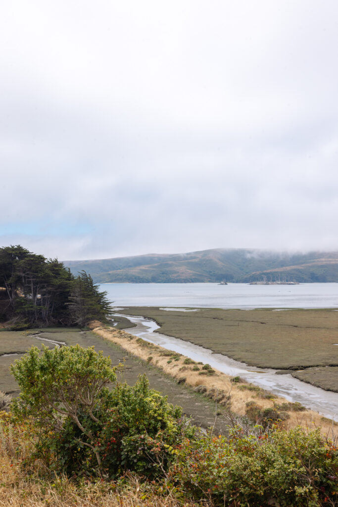 A sweeping coastal landscape view of a calm bay and golden rolling hills at a Northern California wedding venue on the Sonoma Coast, photographed by Suzanne Karp Photography
