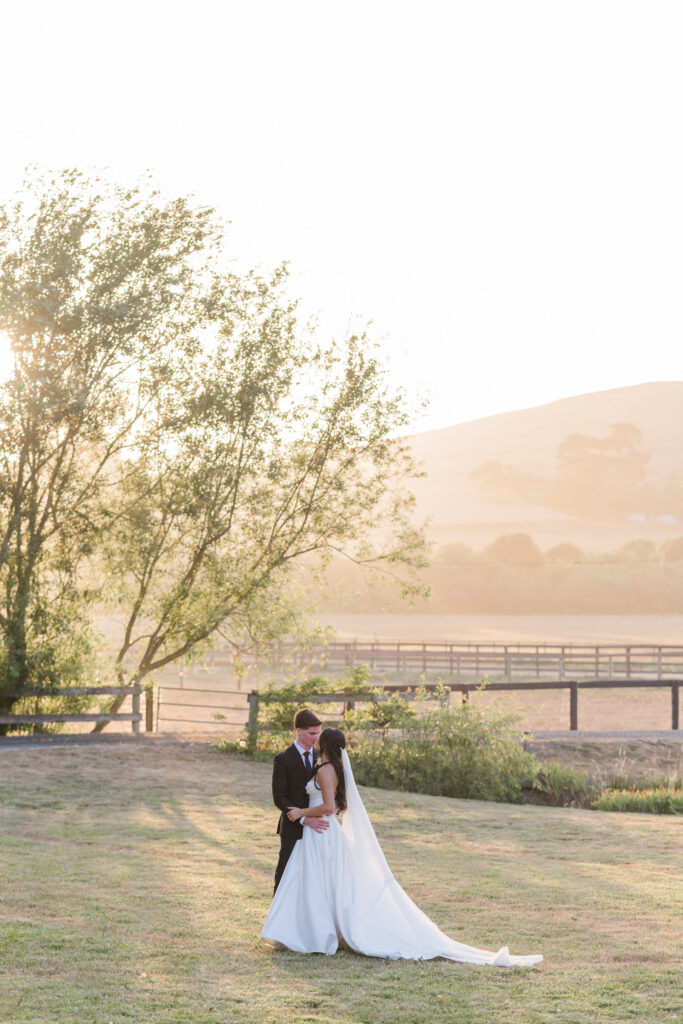 A bride and groom embrace in a wide landscape portrait at sunset, surrounded by golden rolling hills and willow trees during their Northern California wedding, photographed by Suzanne Karp Photography