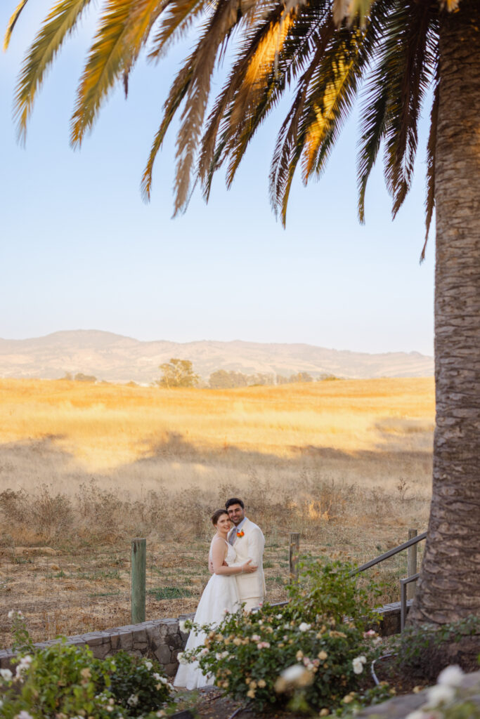 Newlyweds stand together beneath a palm tree at Carneros Resort and Spa with golden grass and the Napa Valley mountains behind them